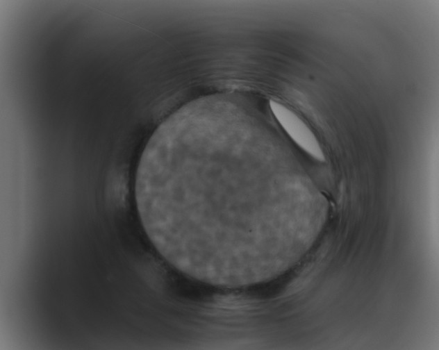 X0000088480259200706191412