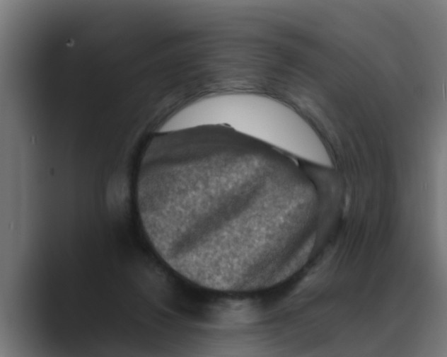 X0000088480260200706191412