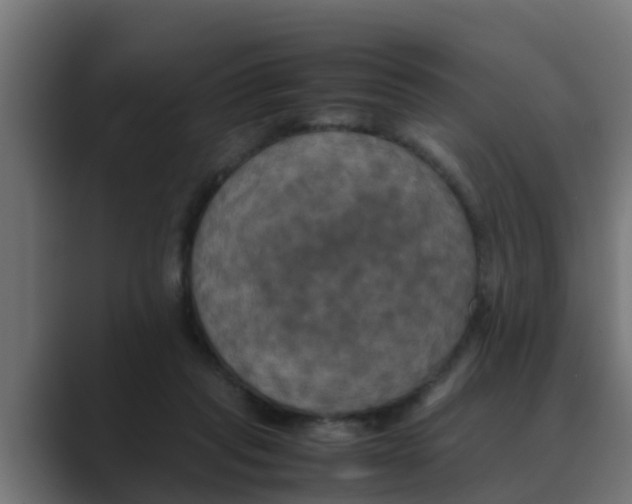 X0000088480261200706191412