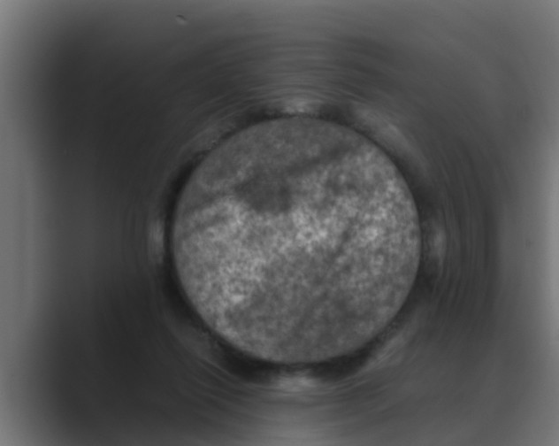 X0000088480262200706191412