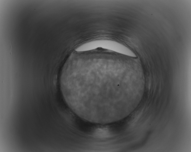 X0000088480263200706191412