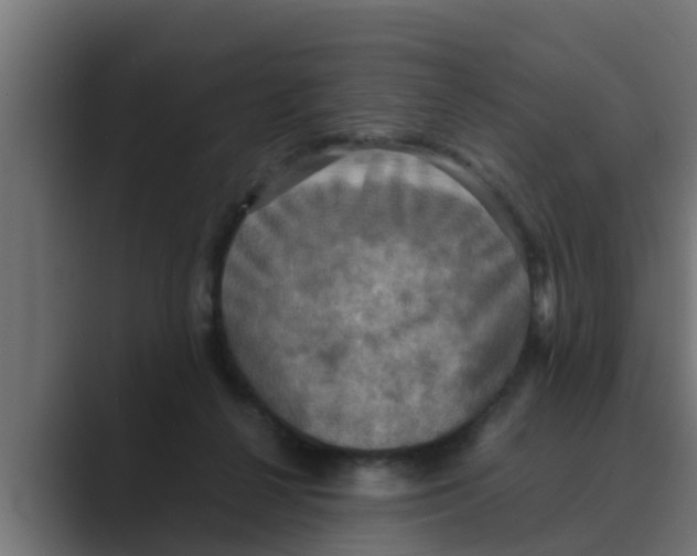 X0000088480264200706191412