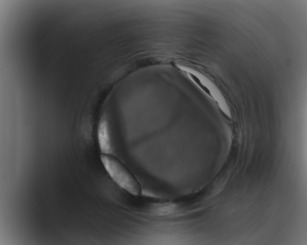 X0000088480266200706191412