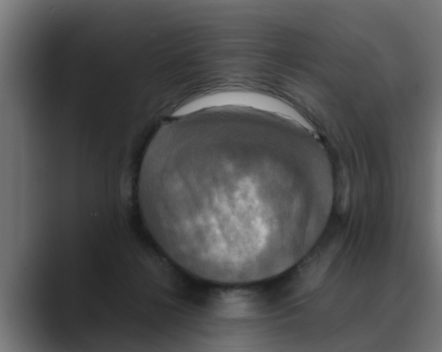 X0000088480268200706191412