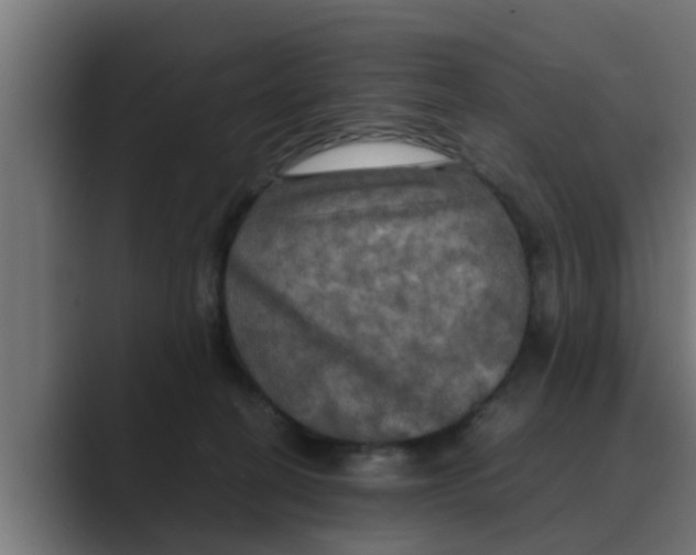 X0000088480274200706191412