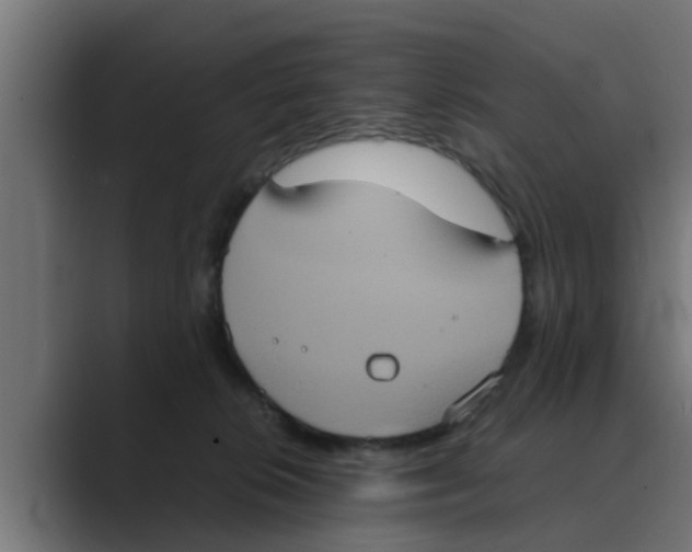 X0000088480276200706191412