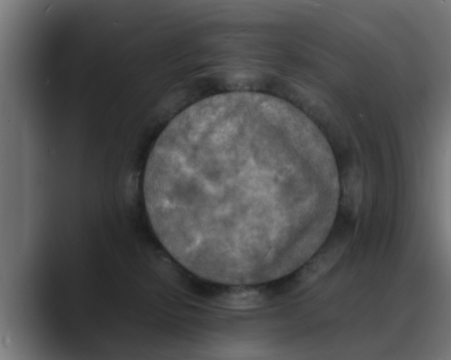 X0000088480278200706191412