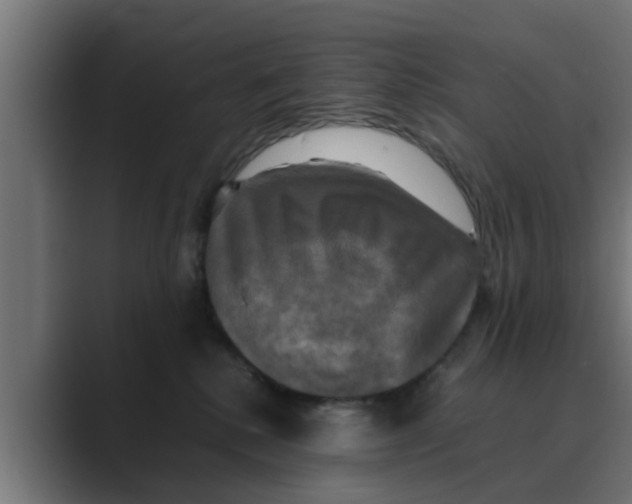 X0000088480280200706191412