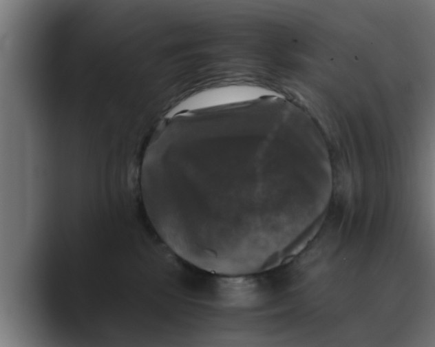 X0000088480281200706191412