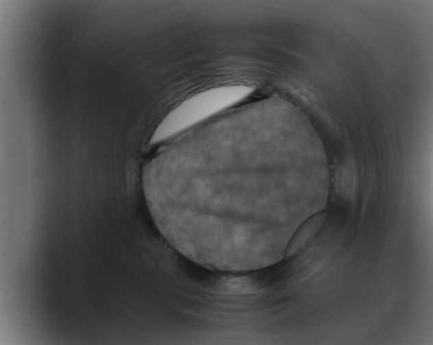 X0000088480283200706191412