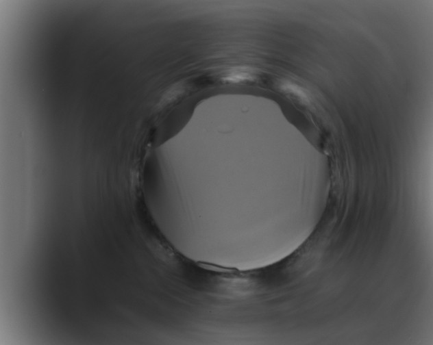 X0000088480284200706191412