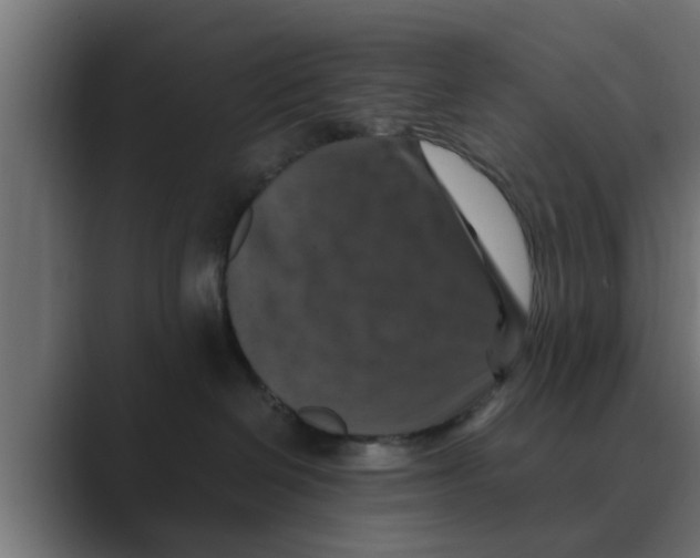 X0000088480286200706191412