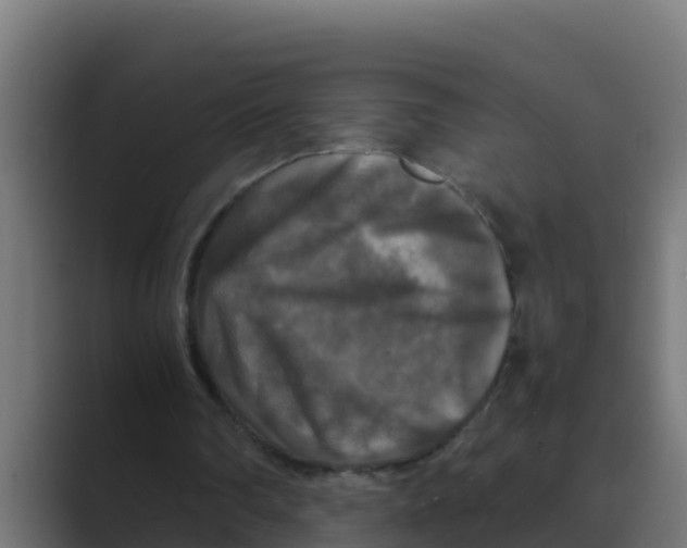 X0000088480290200706191411