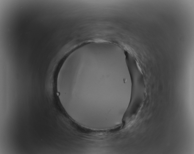 X0000088480295200706191411