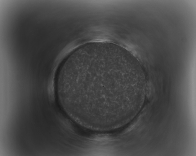 X0000088480296200706191411