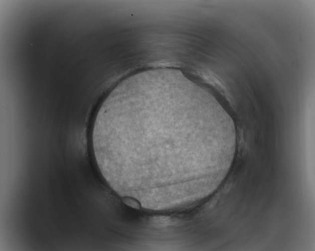 X0000088480298200706191411