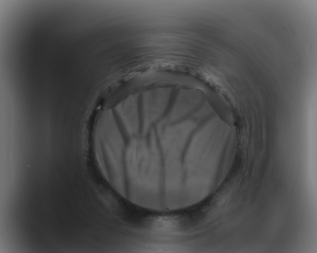 X0000088480303200706191411