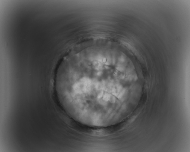 X0000088480309200706191411