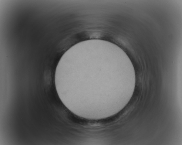 X0000088480311200706191411