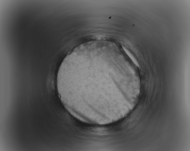 X0000088480313200706191411