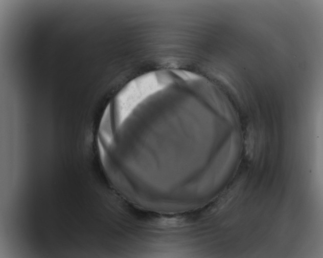 X0000088480314200706191411