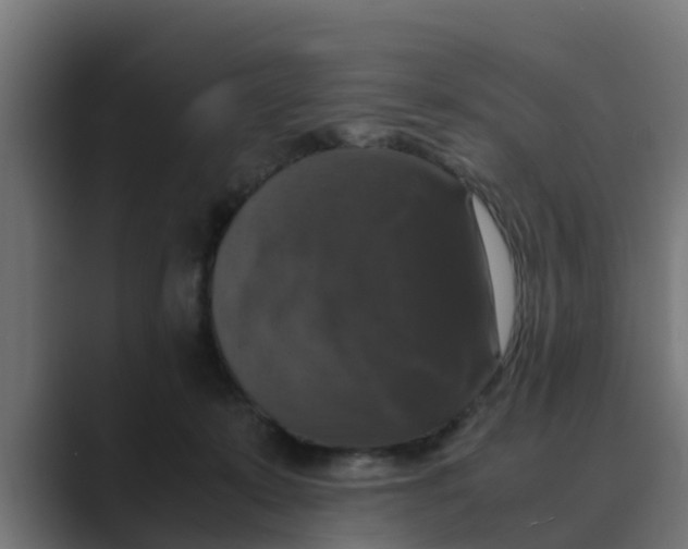 X0000088480319200706191411