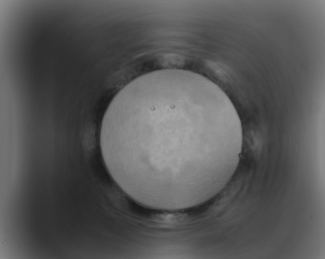 X0000088480323200706191411