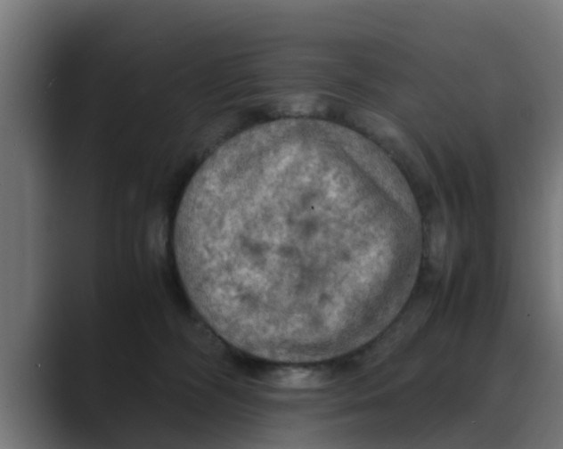 X0000088480326200706191411