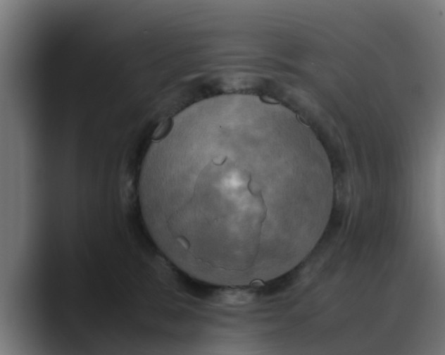 X0000088480327200706191411