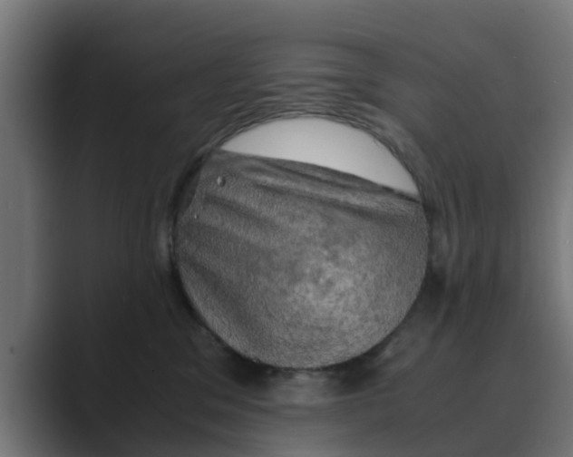 X0000088480329200706191411