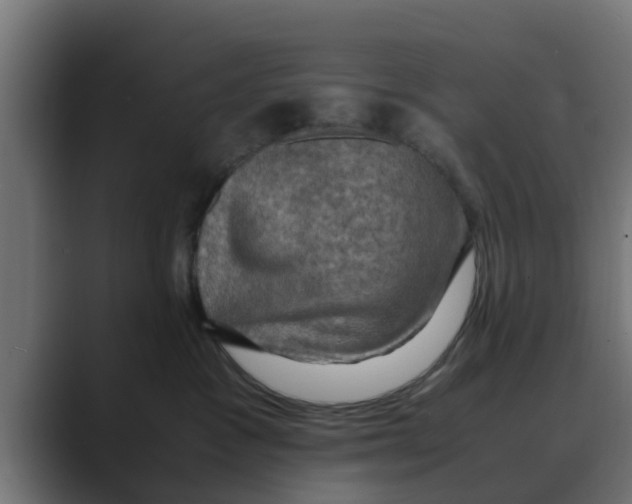 X0000088480333200706191411