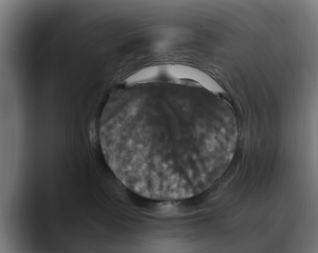 X0000088480335200706191411