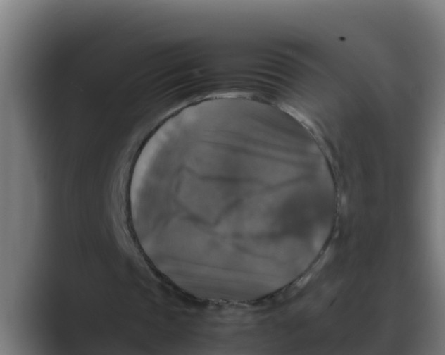 X0000088480337200706191410