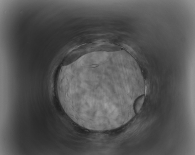 X0000088480339200706191410