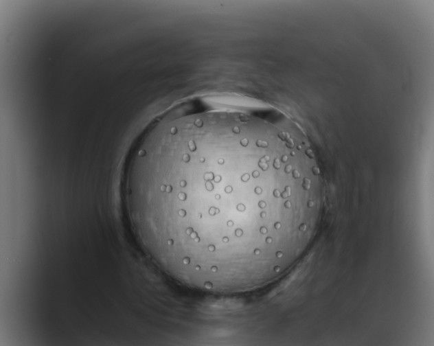 X0000088480340200706191410