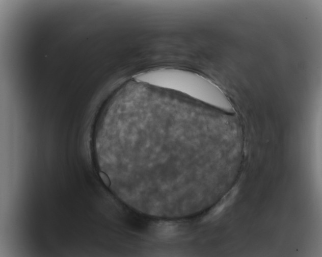 X0000088480341200706191410