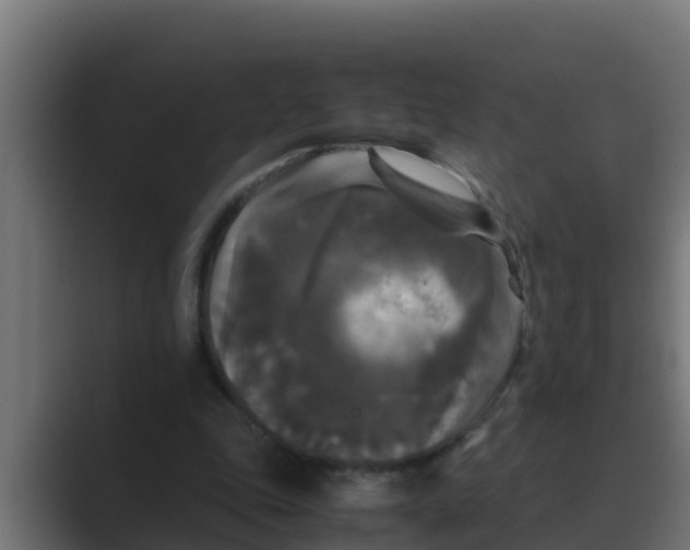 X0000088480343200706191410