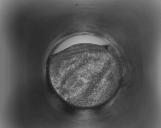 X0000088480344200706191410