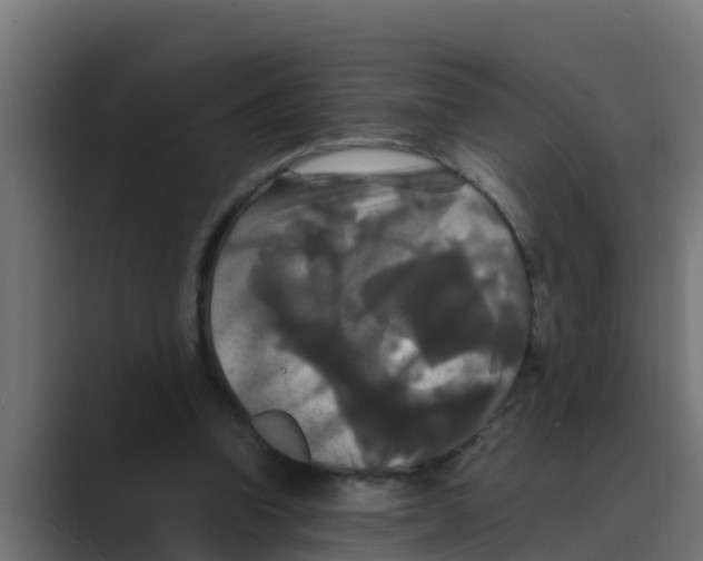 X0000088480346200706191410