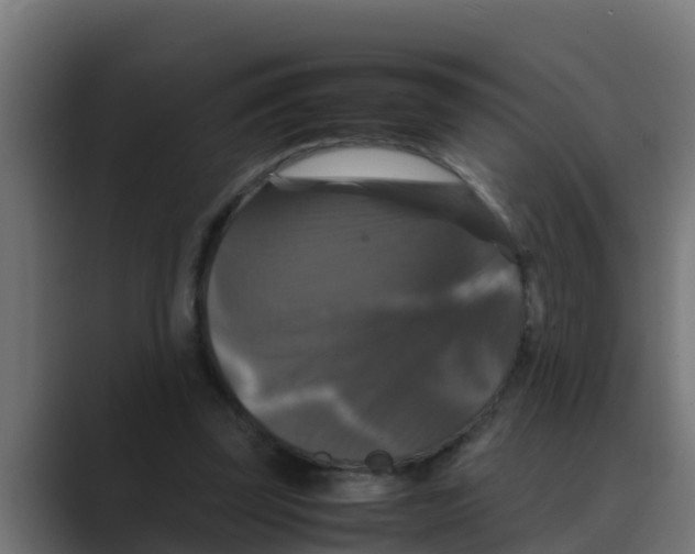 X0000088480347200706191410