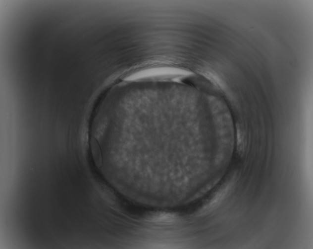 X0000088480348200706191410