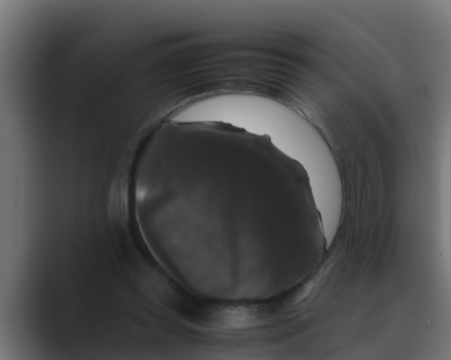 X0000088480349200706191410