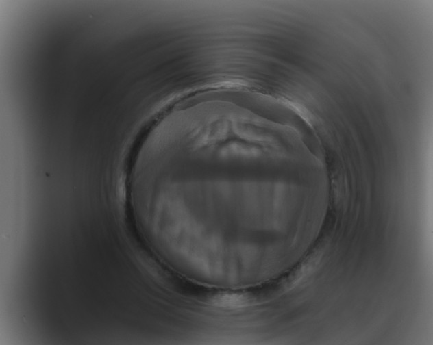 X0000088480350200706191410