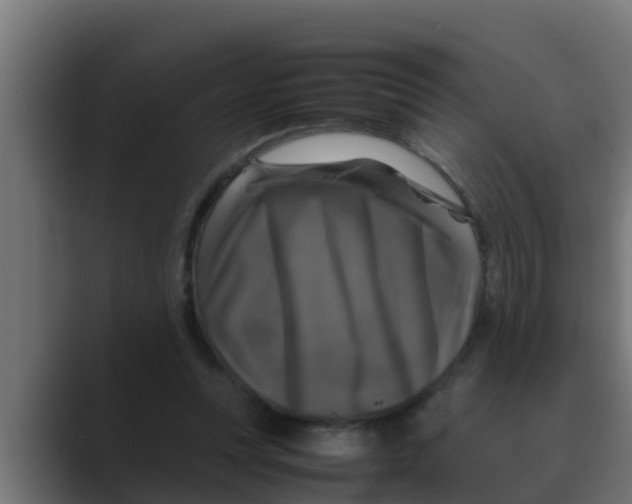 X0000088480351200706191410