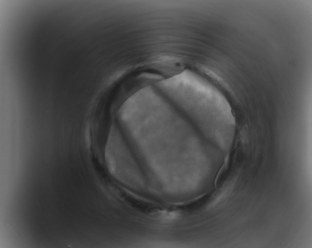 X0000088480352200706191410