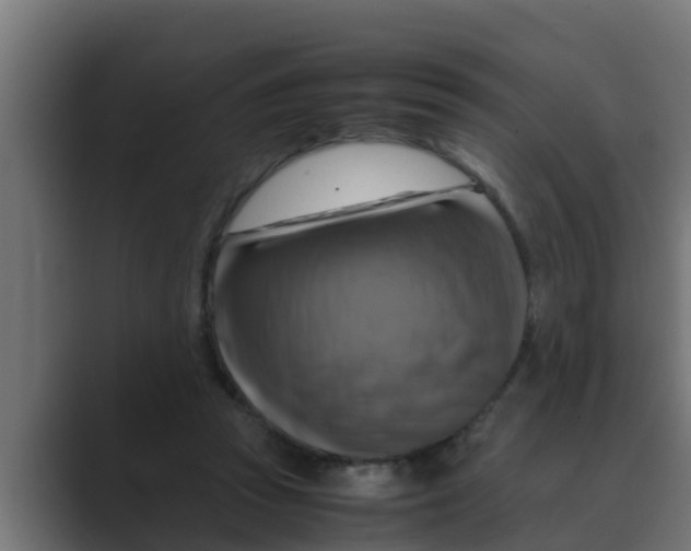 X0000088480353200706191410