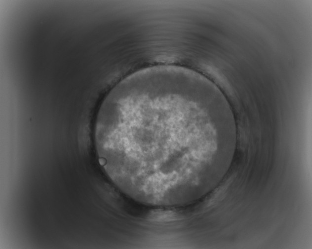 X0000088480354200706191410