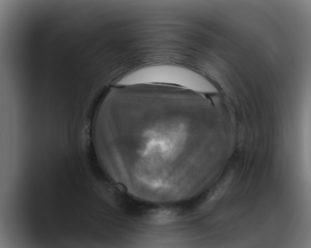 X0000088480356200706191410