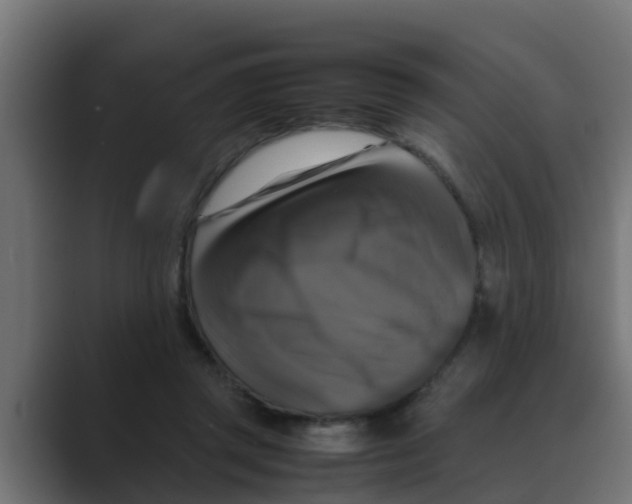 X0000088480357200706191411