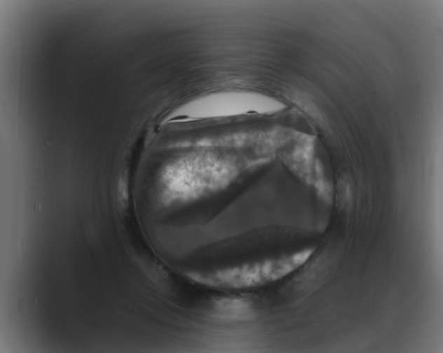 X0000088480358200706191411